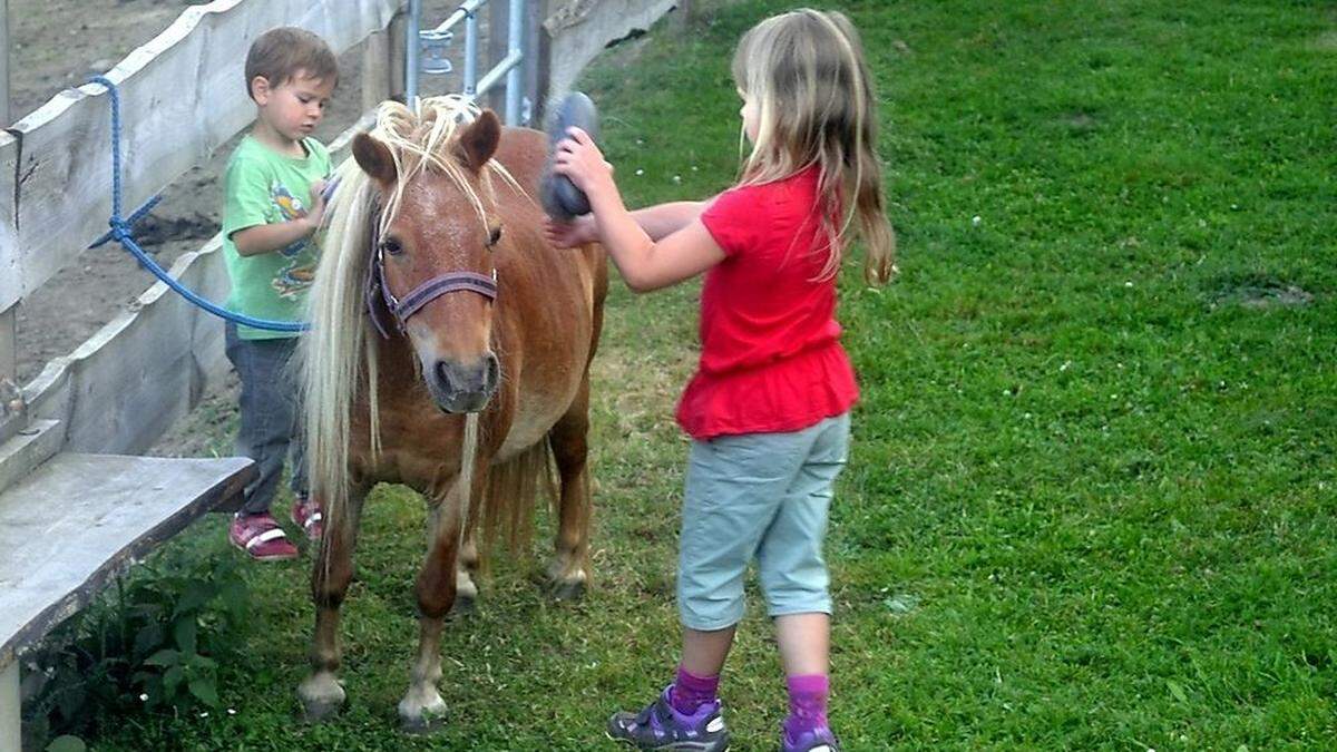 Die Kinder der Gäste dürfen am Hof auch ein wenig helfen. So wird der Bezug zu den Tieren hergestellt