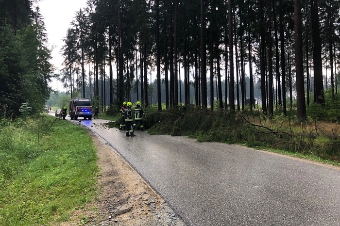 Sie beseitigten umgestürzte Bäume, pumpten überfluteten Keller und Garagen aus und reinigten verschmutzte Fahrbahnen.