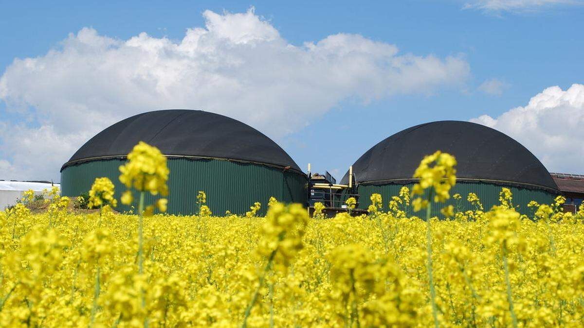 In einer Biomethananlage wird aus Klärschlamm Biogas gewonnen