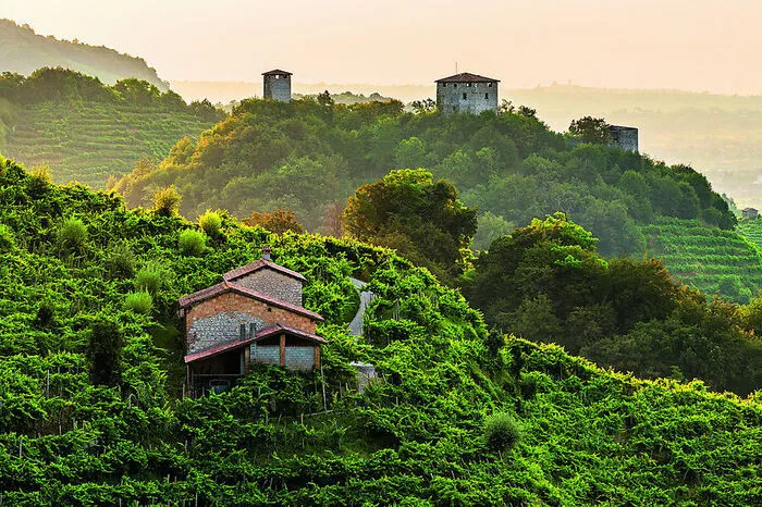 Italien. Die Hügel des Prosecco zwischen Conegliano und Valdobbiadene ist von steil abfallenden Hügeln, kleinen Rebparzellen auf grasbewachsenen und engen Terrassen, den sogenannten Ciglioni, Wäldern, Dörfern und Ackerland geprägt.