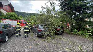 In Haus im Ennstal stürzte ein Baum auf zwei Autos