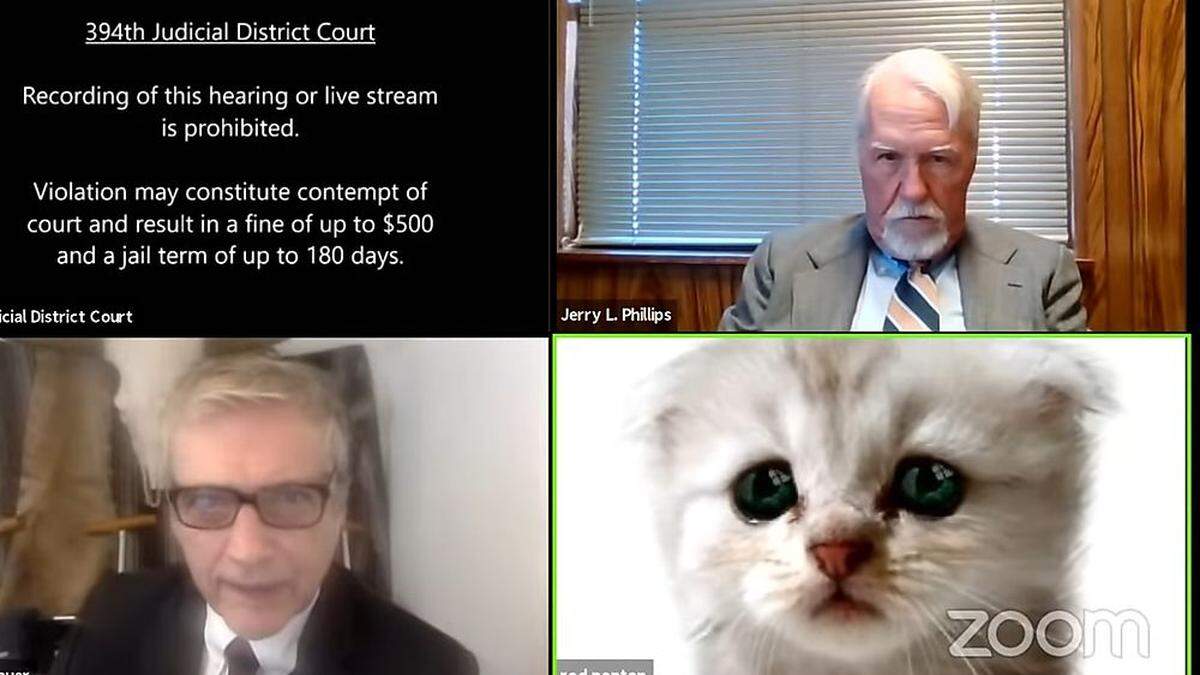 Traurig statt proffesionell: Diese Katze blickte Richter und Anwälten via Bildschirm entgegen. 