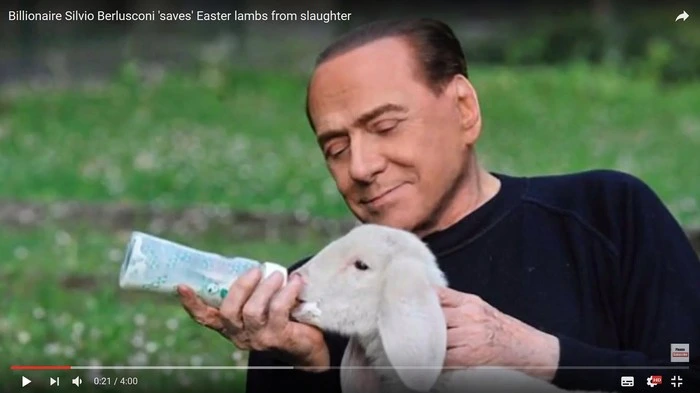 Der italienische Ex-Ministerpräsident Silvio Berlusconi hat eine Tierschutzpartei mitbegründet.