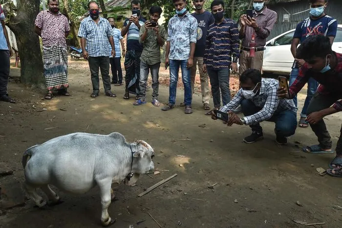 Inzwischen habe der Hof seine Tore für Besucherinnen und Besucher angesichts der schnell steigenden Corona-Zahlen im Land geschlossen, sagte der Manager des Betriebs, Tanvir Hasan, am Montag.
