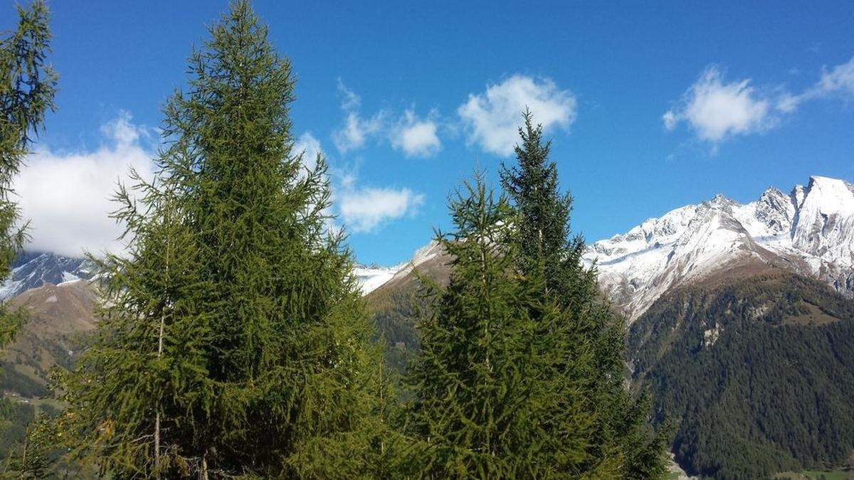 Blauer Himmel: Den wird's auch heute wieder geben