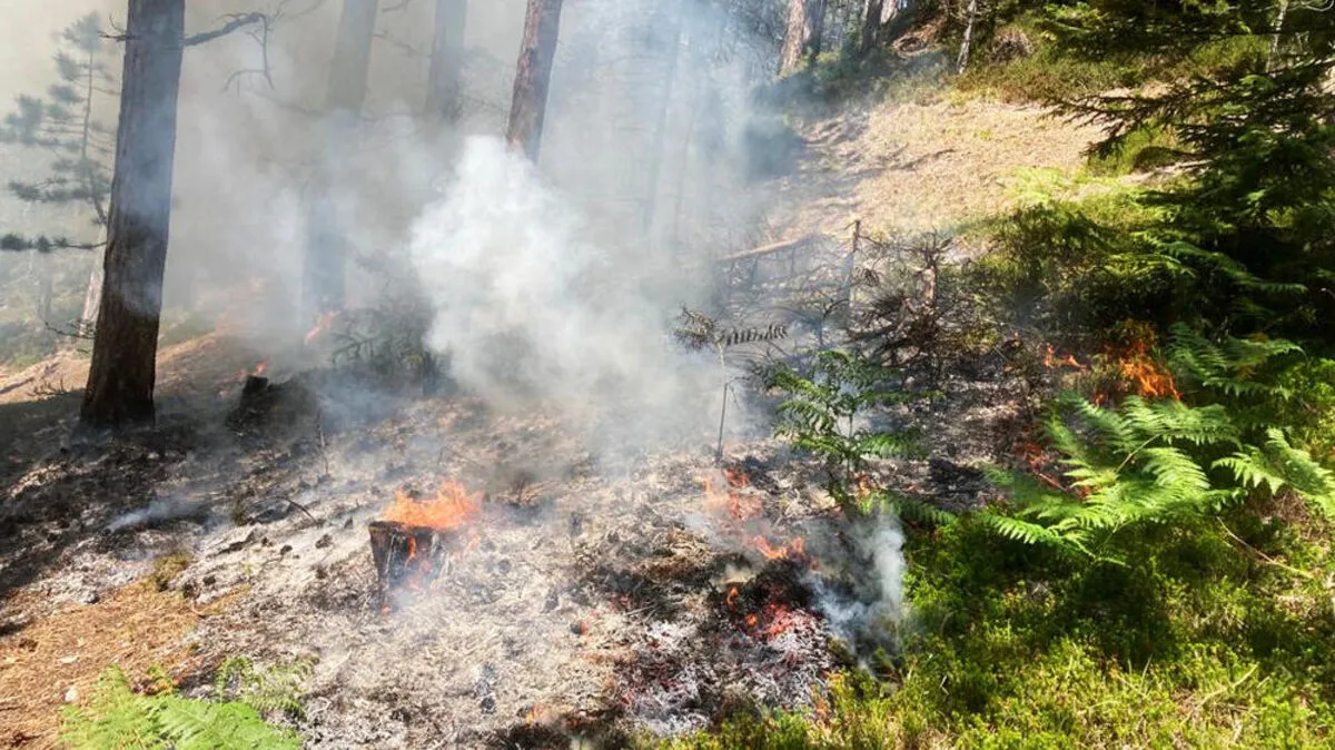 ++ HANDOUT ++ WALDBRAND IN NIEDER�STERREICH - AUFW�NDIGE L�SCHARBEITEN