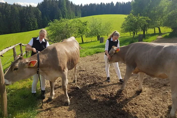 Klicken Sie sich durch die weiteren Fotos