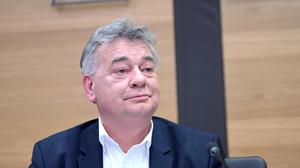  Parteichef Werner Kogler (Grüne) 