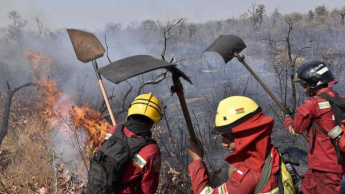 Die Helfer sollen vor allem in der Region Santa Cruz tätig werden