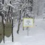 Der Zutritt zum Friedensforst an der Sattnitz in Klagenfurt wurde mittels Schildern verboten. Tafel soll Betreiber von Haftung befreien