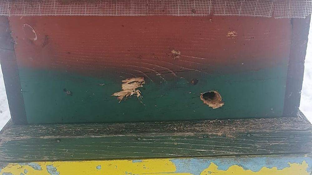 15 von 18 Bienenstöcken des Imkers Valentin Michor wurden bislang beschädigt