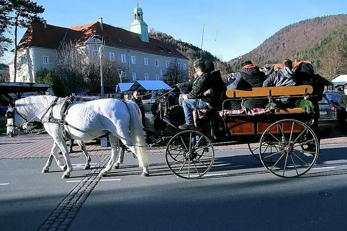 Begehrt, und nicht nur bei den Kindern, waren Kutschenfahrten mit dem Lipizzanergespann.