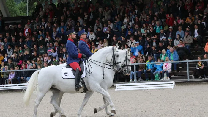 Mit einem abwechslungsreichen Programm begeisterten die Stars der Spanischen Hofreitschule beim Fest der Lipizzaner die zahlreichen Besucher.