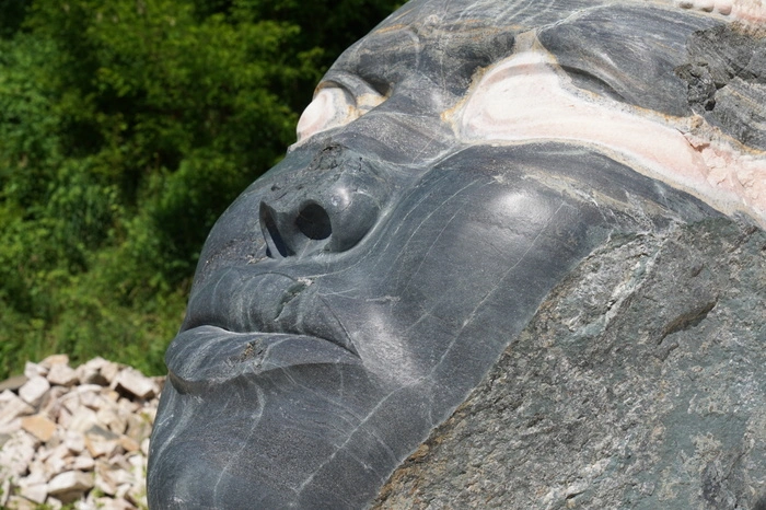 Der schwarze Männerkopf symbolisiert die Menschenrechte und speziell die Black-Lives-Matter Bewegung. 