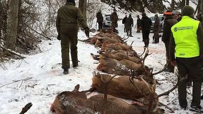 Die Bilder des erlegten Wildes, die nach der Jagd via WhatsApp verbreitet wurden, sorgen für Diskussionen