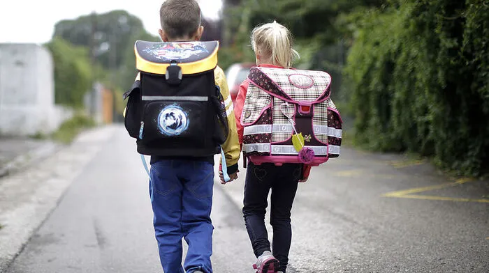 Der Leisacher Gemeinderat will, dass die heimischen Kinder die Volksschule im Ort besuchen