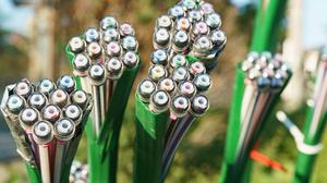 Bis 2030 investiert Magenta zwei Milliarden Euro vor allem in den Glasfaser-Ausbau