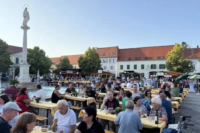 Beim größten Weinfest in der Region kredenzten zwölf Qualitätswinzer aus der Region und dem Südburgenland ihre besten „Tröpferl“. 