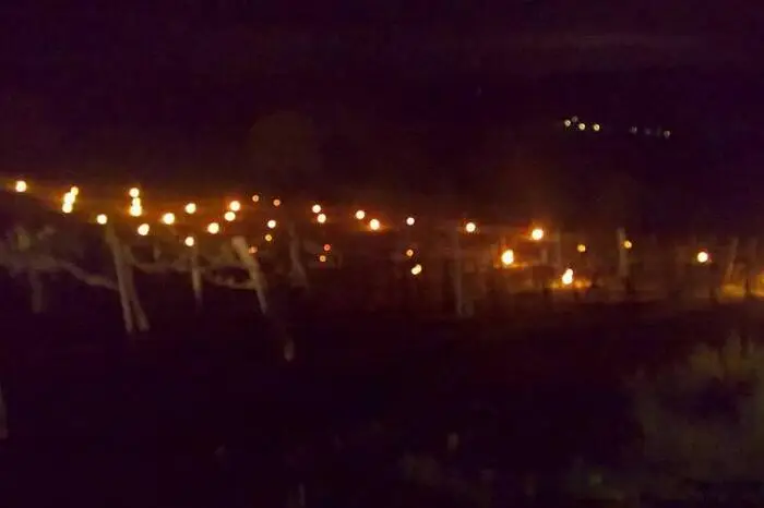 Das Weingut Wiedersilli in Wies setzt etwa auf brennendes Speiseöl.