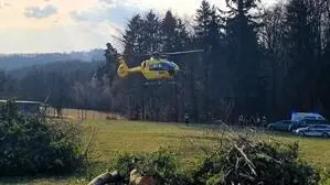 In einem steilen Waldstück zwischen Röcking und Siegensdorf ereignete sich am Dienstag ein Forstunfall
