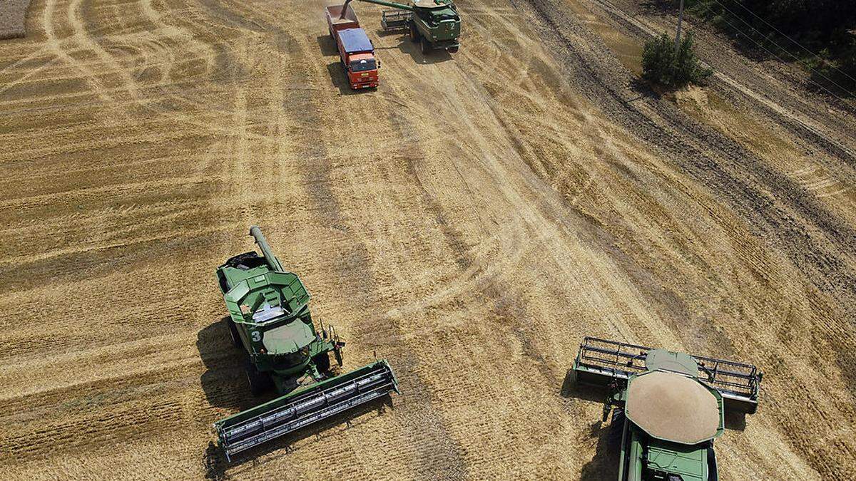 Die Ukraine ist ein weltweit bedeutender Getreideerzeuger und -exporteur