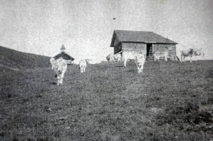 Die Hirtenütte, wo einst in den Sommermonaten ein Hirte lebte. Darunter Georg Steinbrecher, der 1878 ermordet wurde.
