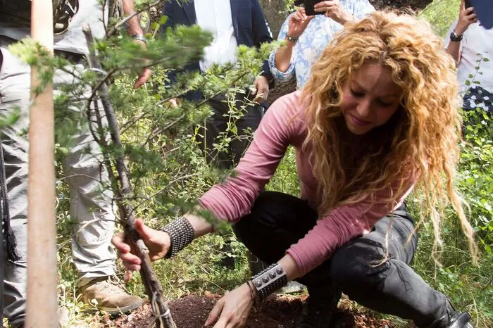 Begleitet von hohen Sicherheitsvorkehrungen besichtigte der Popstar einen Naturpark und pflanzte zwei Zedernbäume - Libanons Nationalsymbol.