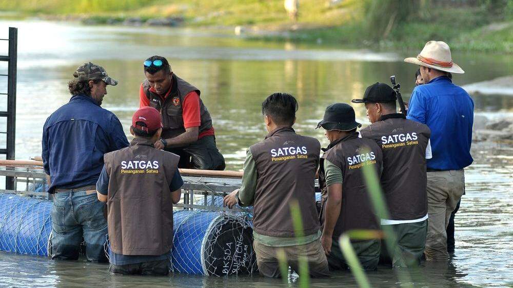 Australier scheitert mit Krokodil-Rettung in Indonesien