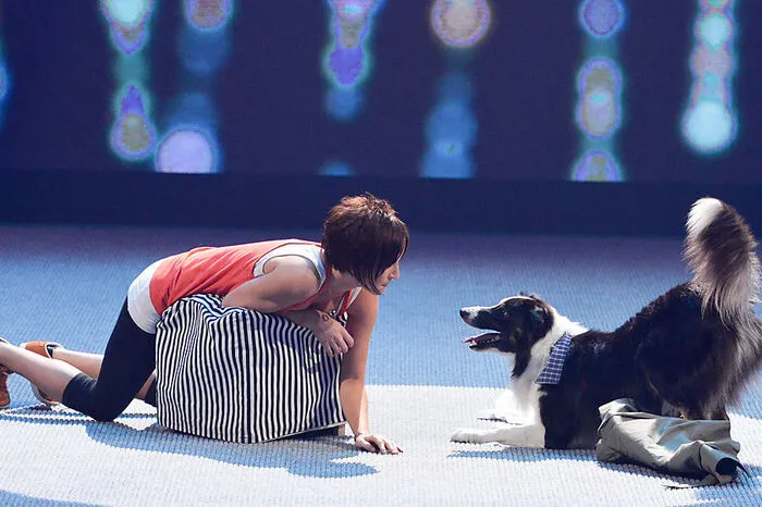 Dog-Dance landete 2012 auf Platz eins: Alexandra und Esprit
