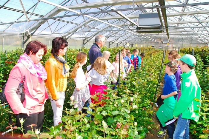In der Gärtnerei Rosen Ebner in Weißbriach (Gemeinde Gitschtal) erfuhren die Schüler der Volksschule Weißbriach wie eine Blume atmet, welchen Dünger und wie viel Wasser sie braucht, wie eine Rose wächst und wie lange sie lebt.