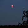 Der &quot;Blutmond&quot; entsteht bei einer Mondfinsternis. Die rote Färbung hängt von der Verschmutzung der Atmosphäre ab