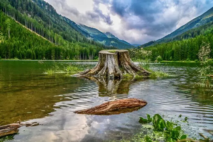 Den Ingeringsee in der Gaal hat der Neumarkter Werner Lückl fotografiert.