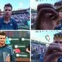 Die Botschaft von Dominic Thiem