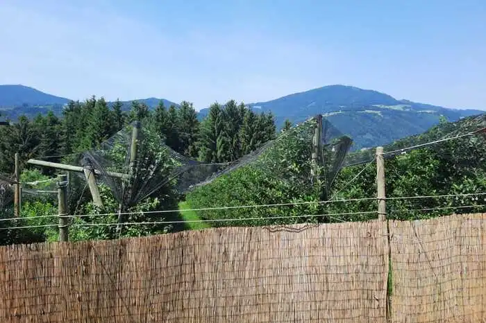 Nach dem Umbau wird dieser gesamte Platz den Hunden gehören