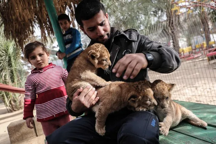 Er hoffe, damit eine drohende Schließung des Zoos in Rafah im Süden des Palästinensergebiets am Mittelmeer abwenden zu können.