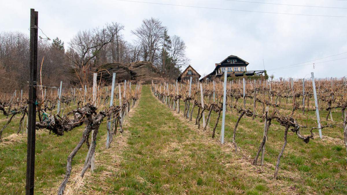 Im historischen Engelweingarten in Stainz soll eine exklusive Ferienanlage entstehen