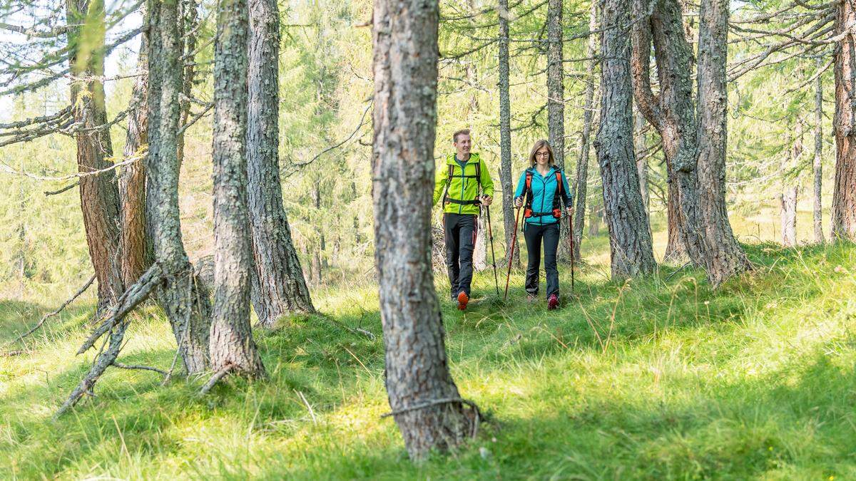 Wohltuender Termin bei Dr. Wald