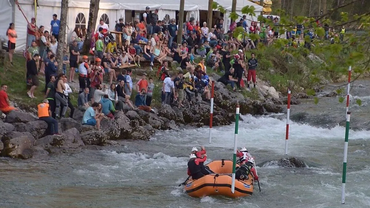 Reges Publikumsinteresse