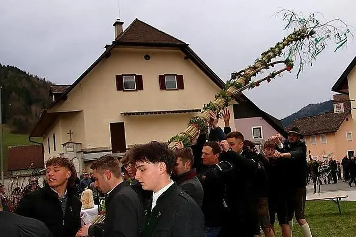Die zwei großen Palm hatten eine Länge von rund 12 Metern und reichten bis zum Kirchendach hinauf. Mit viel Mühe wurden die langen, schweren Gebinde aufgestellt, wobei die an der Kirche angebrachten Haken für Stabilität der langen Stangen sorgten.