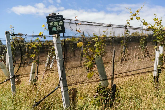 Das Weingut Tropper besticht durch das allgegenwärtige Bestreben, vinophilen Genuss in nachhaltigen klimapositiven Kreisläufen zu produzieren.
