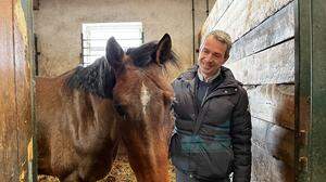 Mitte August hetzte ein Wolf eine Stute von Simon Zuchi in den Tod – ein großer Verlust für den Pferdezüchter, der seine Sportpferde in die ganze Welt verkauft