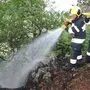 Die Feuerwehr war mit insgesamt rund 50 Mann im Einsatz