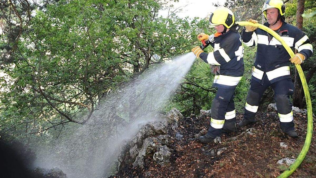 Die Feuerwehr war mit insgesamt rund 50 Mann im Einsatz