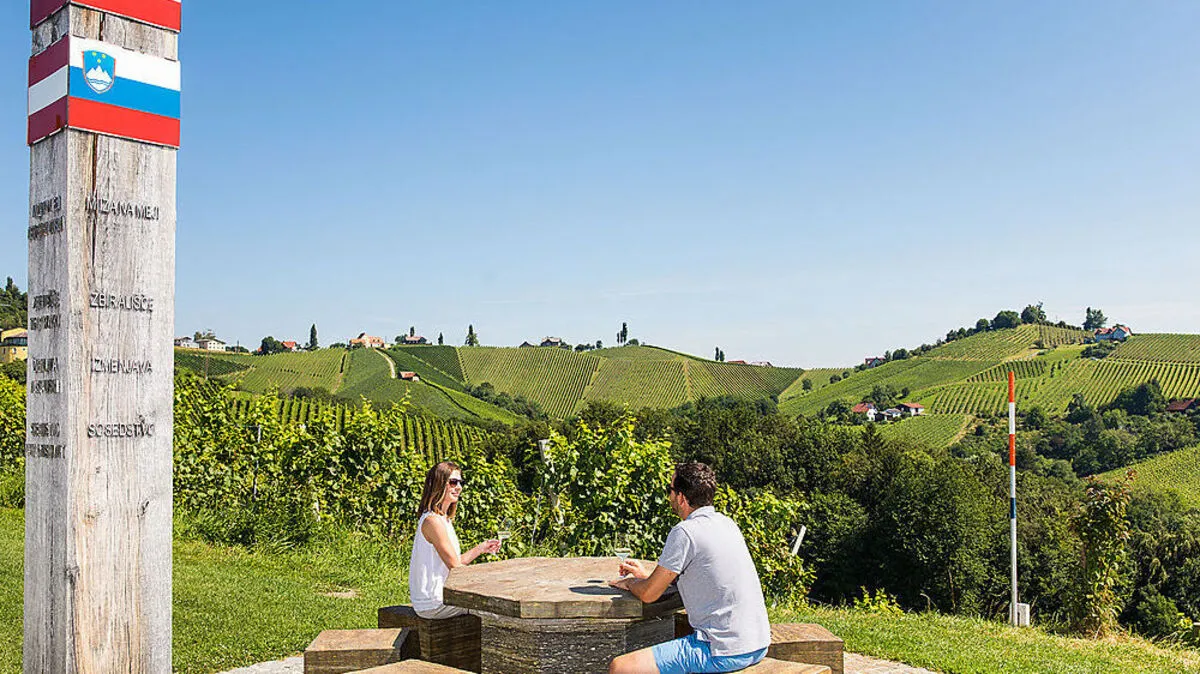 Beim Wandern ist der Ausbilck auf die Weinberge ein ständiger Begleiter