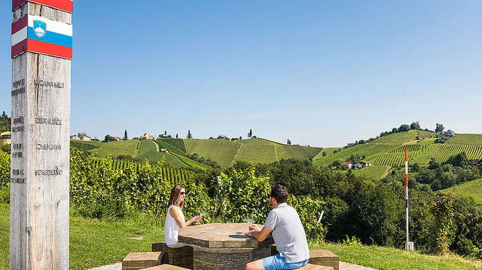 Beim Wandern ist der Ausbilck auf die Weinberge ein ständiger Begleiter