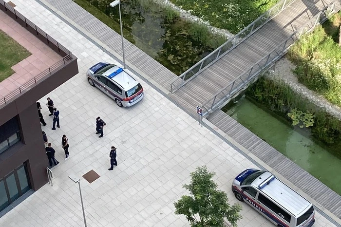 Es wird randaliert, Leute werden beschimpft und mit Steinen beworfen: Die Polizei muss mehrmals täglich zu Einsätzen ausrücken.