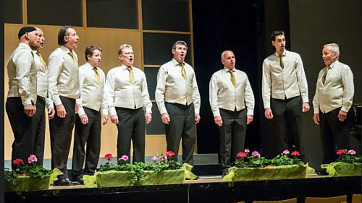 Vokalsolisten die Goldenen Stimmen aus Kärnten