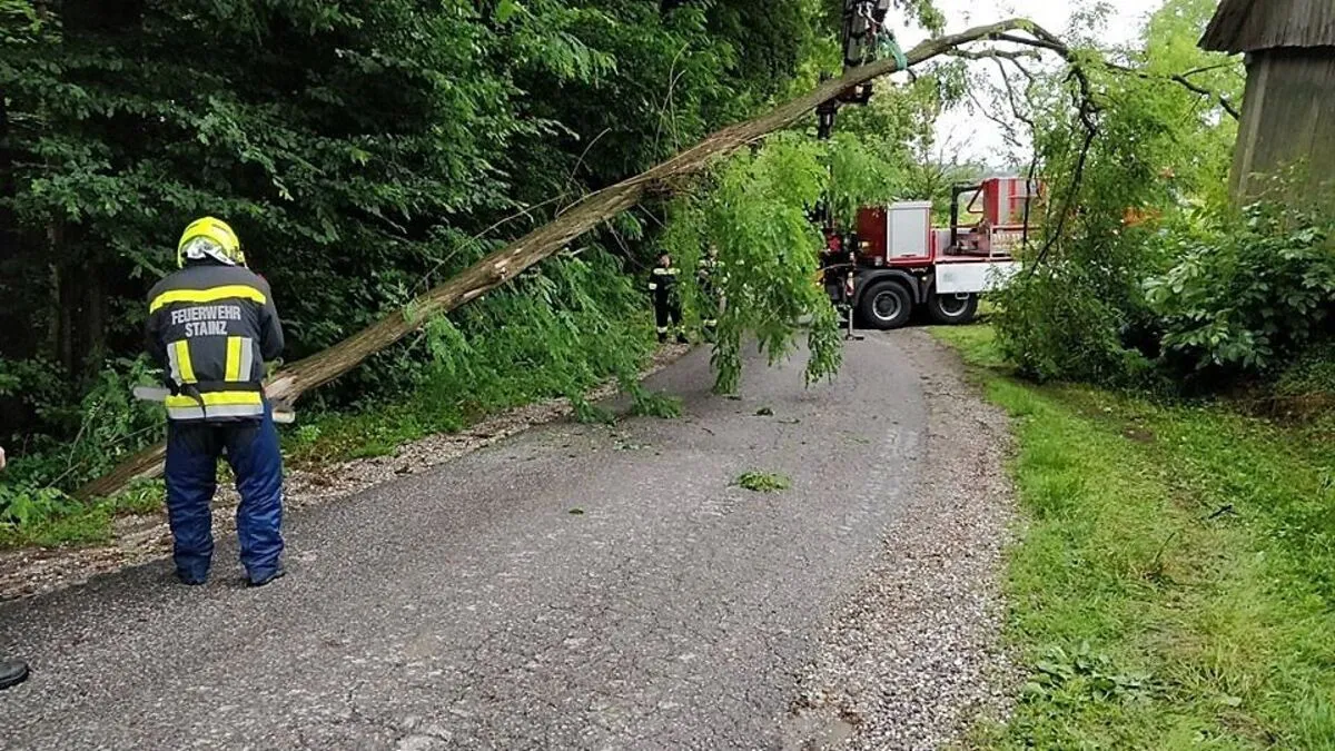 Der Baum blockierte auch die Straße