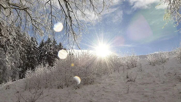 Beim Spaziergang in Hollenegg hat unser Leser Mathias Prietl die traumhafte Winterlandschaft genossen.