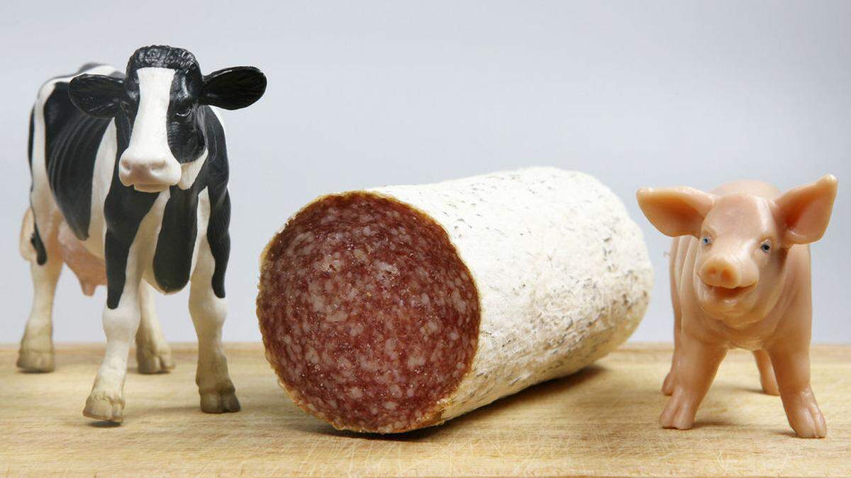 Rohwurst war mit Bakterien verunreinigt